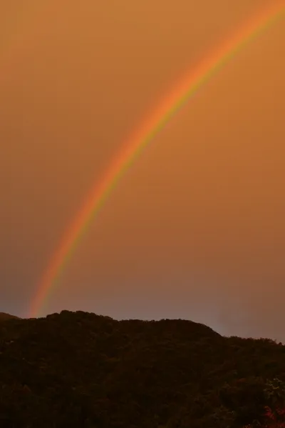 January 2019 - Rainbow